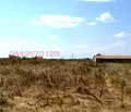 Снимка 4 — Парцел в Добрич, с. Топола