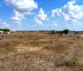 Снимка 2 — Парцел в Добрич, с. Топола