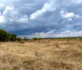Снимка 3 — Парцел в Добрич, с. Топола