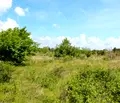 Снимка 5 — Парцел в Добрич, с. Топола