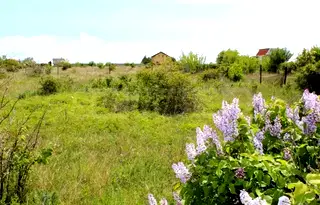 Парцел в Добрич, с. Топола