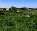 Снимка 2 — Парцел в Добрич, с. Топола