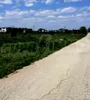 Парцел в Добрич, с. Топола