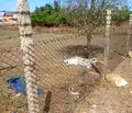Снимка 4 — Парцел в Добрич, с. Топола