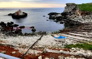 Парцел в Добрич, с. Тюленово