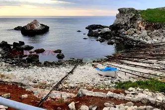 Парцел в Добрич, с. Тюленово