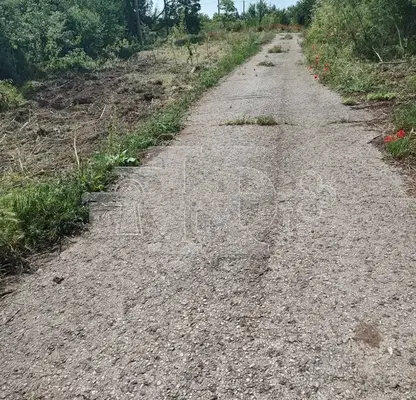 Снимка 3 — Парцел в Добрич, с. Ваклино