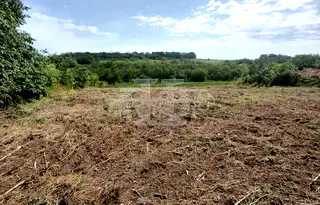 Парцел в Добрич, с. Ваклино