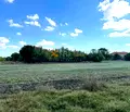 Снимка 3 — Парцел в Добрич, с. Видно