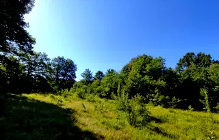 Парцел в Габрово, Дряново