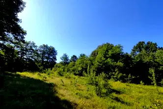 Парцел в Габрово, Дряново