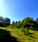 Парцел в Габрово, Дряново
