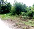Снимка 2 — Парцел в Габрово, Дряново