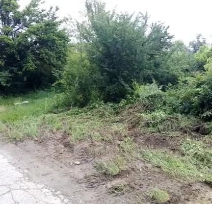Photo 2 — Plot in Gabrovo, Dryanovo