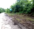 Снимка 3 — Парцел в Габрово, Дряново