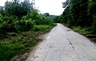 Парцел в Габрово, Дряново