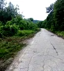 Парцел в Габрово, Дряново