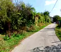 Снимка 2 — Парцел в Габрово, Дряново