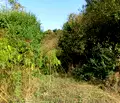 Снимка 4 — Парцел в Габрово, Дряново