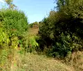 Снимка 5 — Парцел в Габрово, Дряново