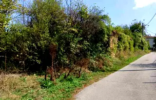 Парцел в Габрово, Дряново