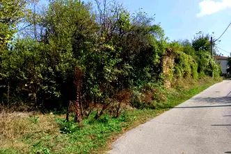 Парцел в Габрово, Дряново