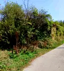 Парцел в Габрово, Дряново