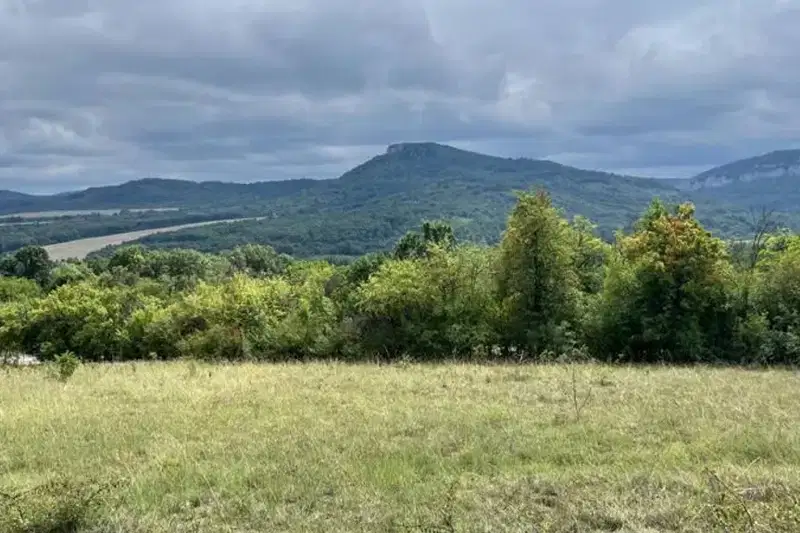 Plot in Oblast Gabrovo, Dryanovo
