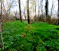 Снимка 2 — Парцел в Габрово, Севлиево