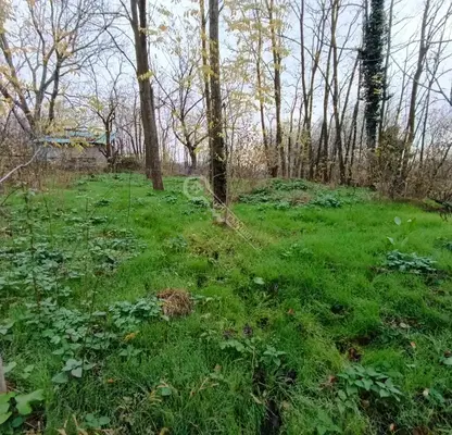 Photo 2 — Plot in Oblast Gabrovo, Sevlievo