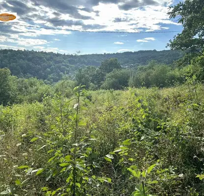 Photo 3 — Plot in Gabrovo, Tryavna