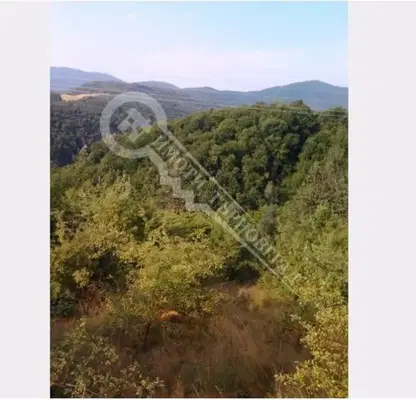 Photo 3 — Plot in Oblast Gabrovo, Tryavna