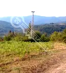 Парцел в Габрово, Трявна