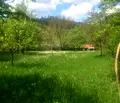 Снимка 3 — Парцел в Габрово, Трявна