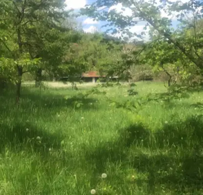 Photo 4 — Plot in Oblast Gabrovo, Tryavna