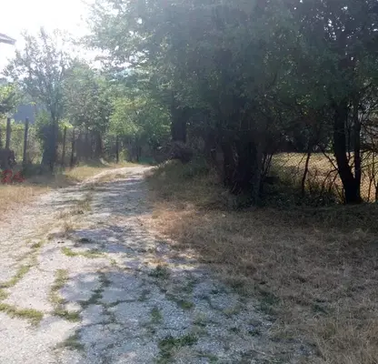 Снимка 3 — Парцел в Габрово, Трявна