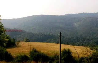 Парцел в Габрово, Трявна