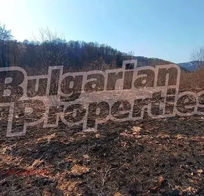 Photo 3 — Plot in Oblast Gabrovo, Tryavna