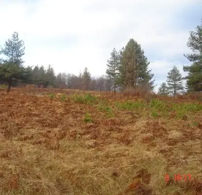 Photo 2 — Plot in Oblast Gabrovo, Tryavna