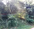 Снимка 2 — Парцел в Габрово, с. Баланите
