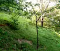 Снимка 3 — Парцел в Габрово, с. Баланите