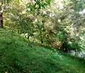 Снимка 4 — Парцел в Габрово, с. Баланите