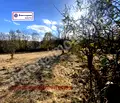 Снимка 3 — Парцел в Габрово, с. Балванците