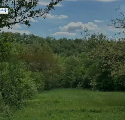 Снимка 2 — Парцел в Габрово, с. Балванците