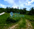 Снимка 2 — Парцел в Габрово, с. Белица