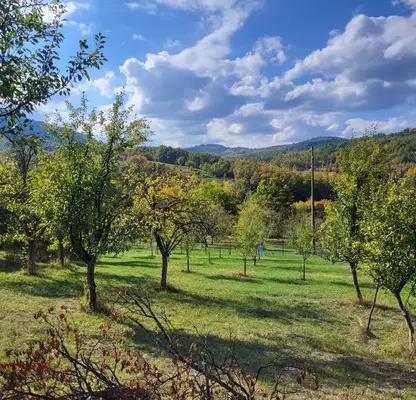 Снимка 2 — Парцел в Габрово, с. Боазът