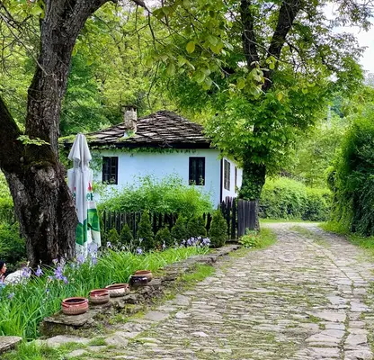 Снимка 4 — Парцел в Габрово, с. Боженците