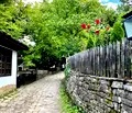 Снимка 5 — Парцел в Габрово, с. Боженците