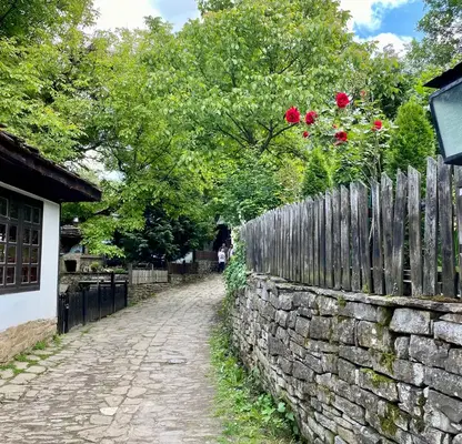 Снимка 5 — Парцел в Габрово, с. Боженците