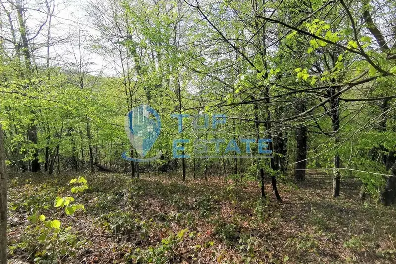 Парцел в Габрово, с. Боженците